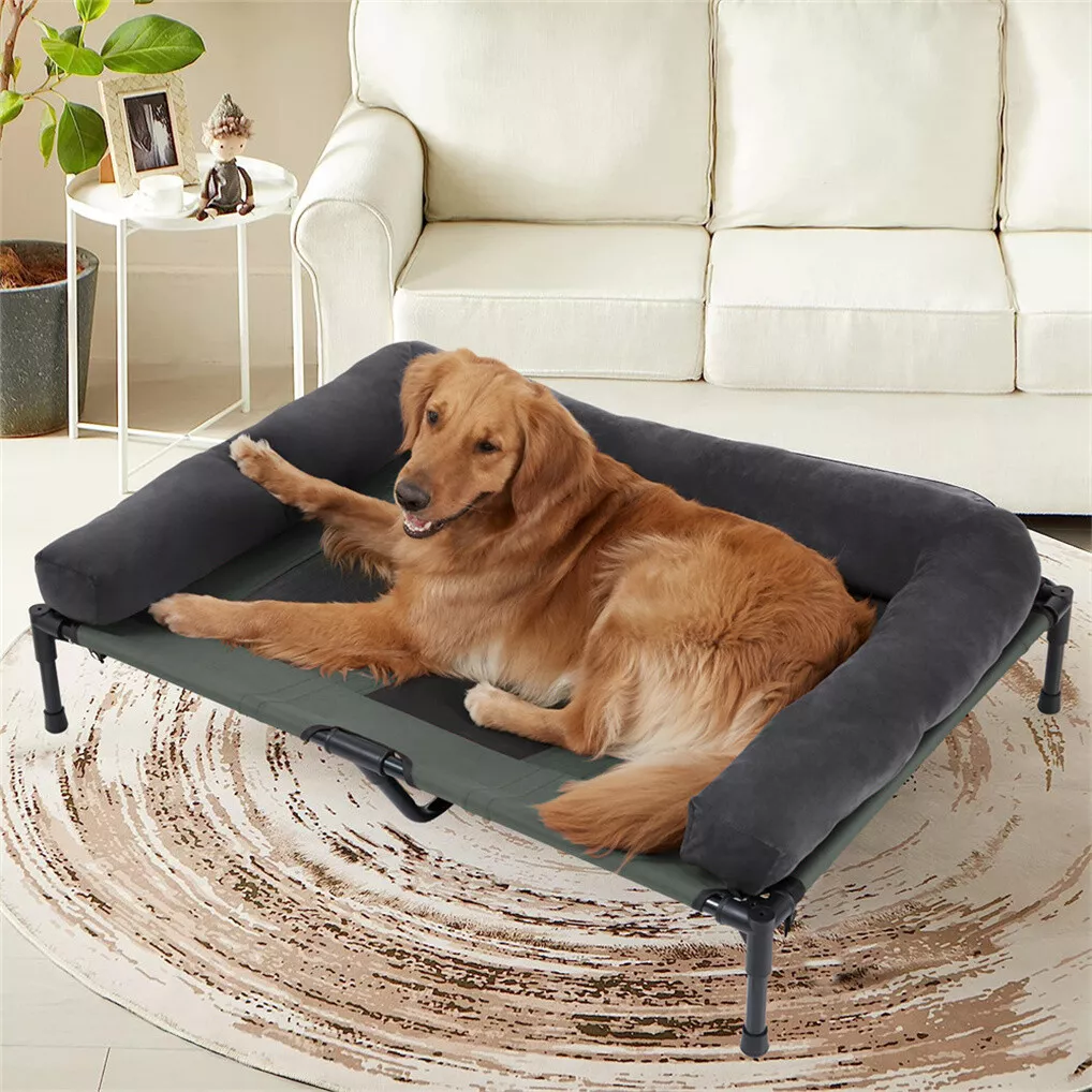 BINGOPAW Elevated Dog Bed Mesh - Outdoor Camping Dog Bed review and price