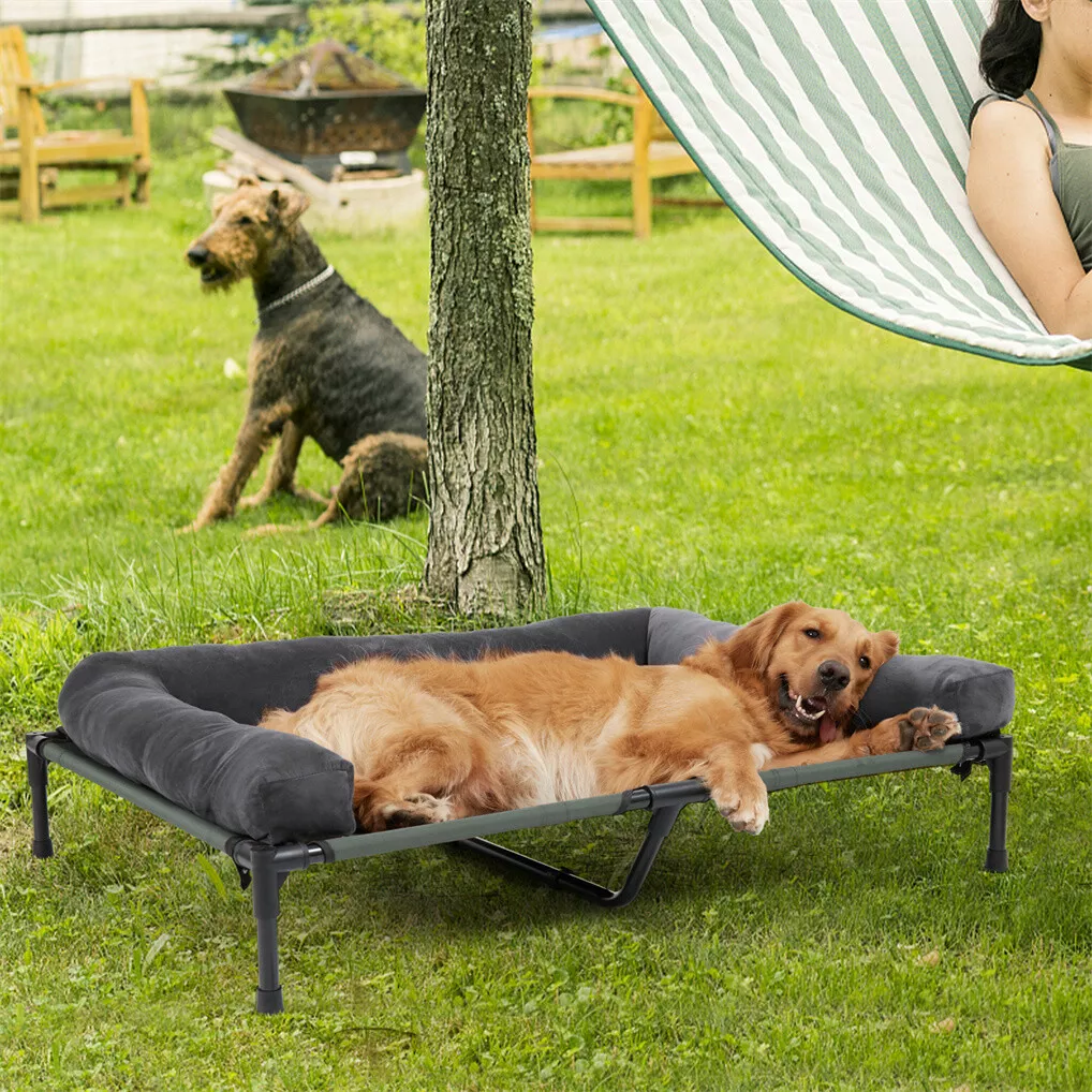 BINGOPAW Elevated Dog Bed Mesh - Outdoor Camping Dog Bed review and price